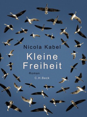 cover image of Kleine Freiheit